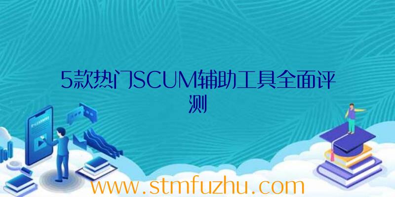 5款热门SCUM辅助工具全面评测