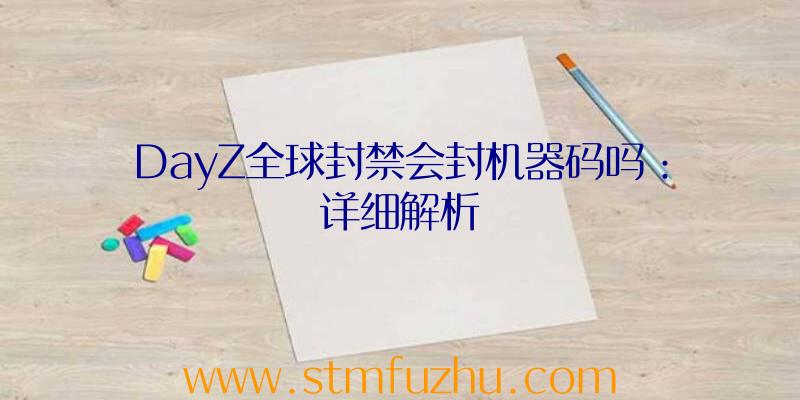 DayZ全球封禁会封机器码吗：详细解析