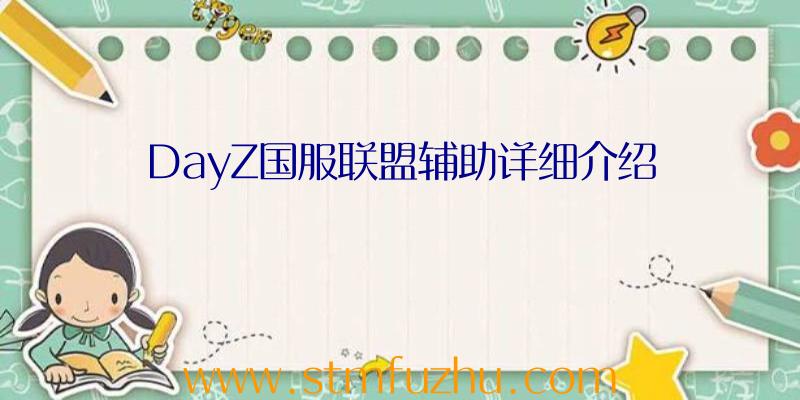 DayZ国服联盟辅助详细介绍