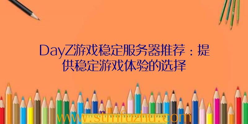 DayZ游戏稳定服务器推荐：提供稳定游戏体验的选择