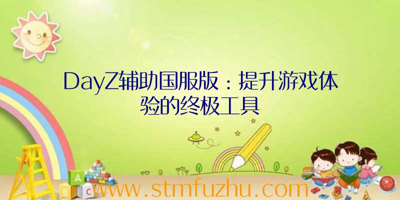 DayZ辅助国服版：提升游戏体验的终极工具