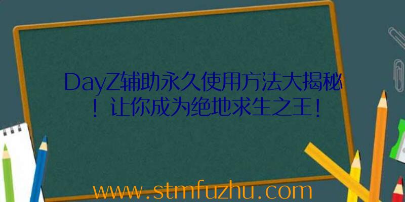 DayZ辅助永久使用方法大揭秘！让你成为绝地求生之王！