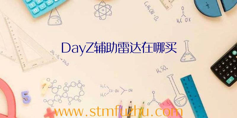 DayZ辅助雷达在哪买