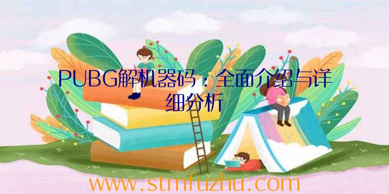 PUBG解机器码：全面介绍与详细分析