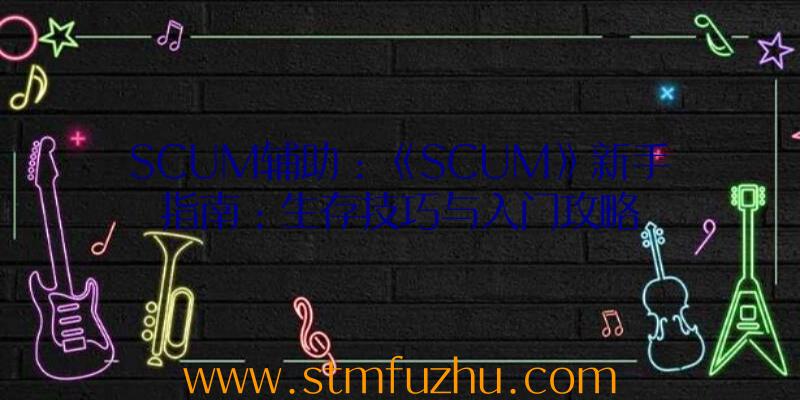 SCUM辅助：《SCUM》新手指南：生存技巧与入门攻略