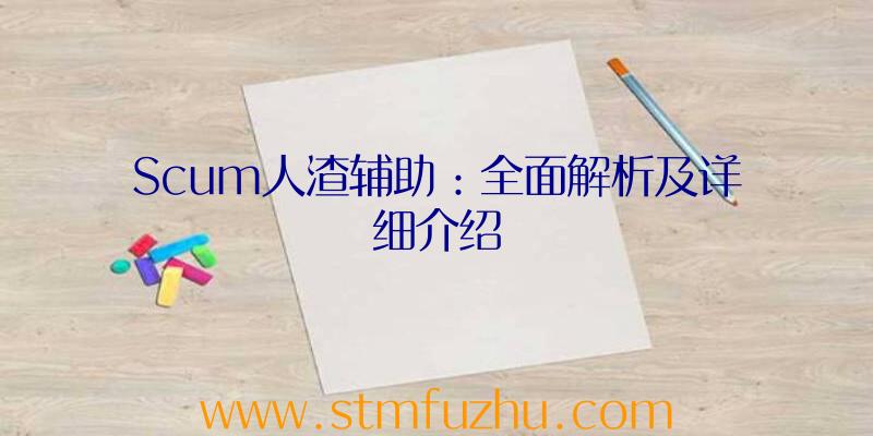 Scum人渣辅助：全面解析及详细介绍
