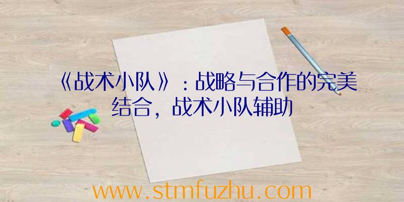 《战术小队》：战略与合作的完美结合，战术小队辅助