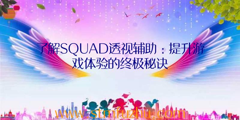 了解SQUAD透视辅助：提升游戏体验的终极秘诀