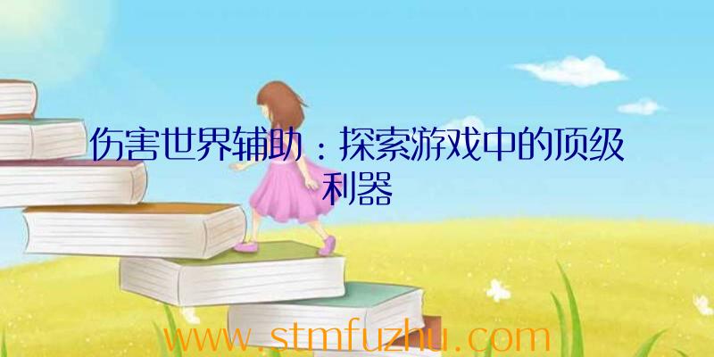 伤害世界辅助：探索游戏中的顶级利器