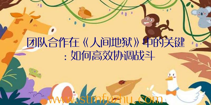 团队合作在《人间地狱》中的关键：如何高效协调战斗