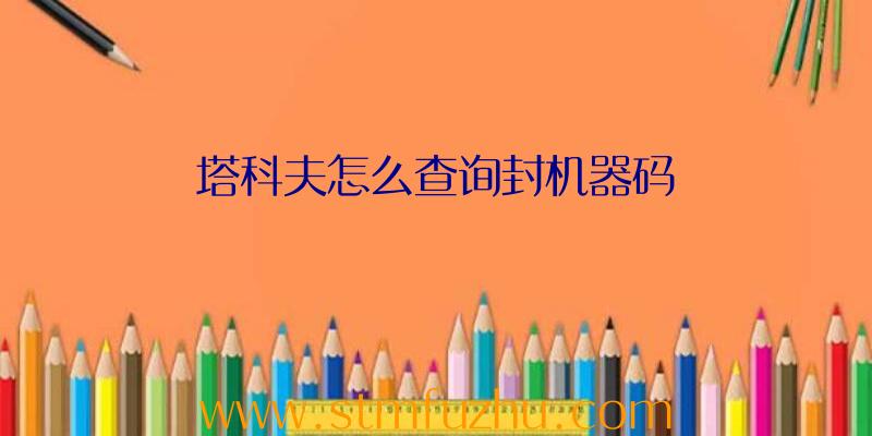 塔科夫怎么查询封机器码