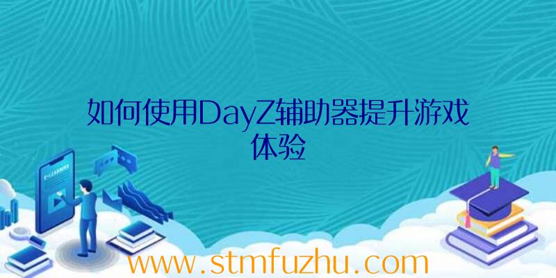 如何使用DayZ辅助器提升游戏体验