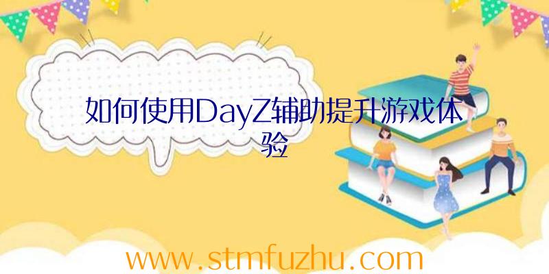 如何使用DayZ辅助提升游戏体验