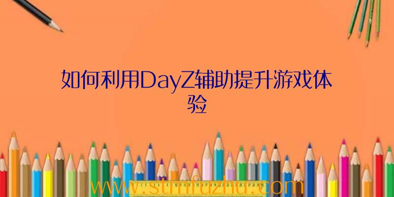 如何利用DayZ辅助提升游戏体验