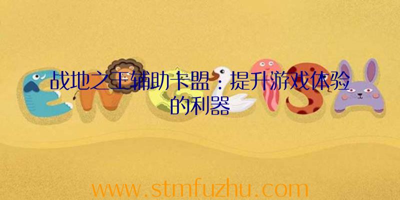 战地之王辅助卡盟：提升游戏体验的利器