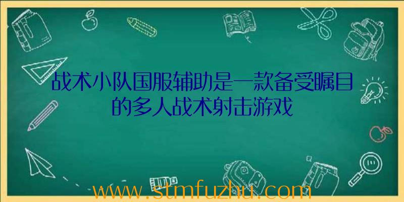 战术小队国服辅助是一款备受瞩目的多人战术射击游戏