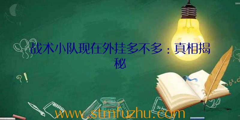 战术小队现在外挂多不多：真相揭秘