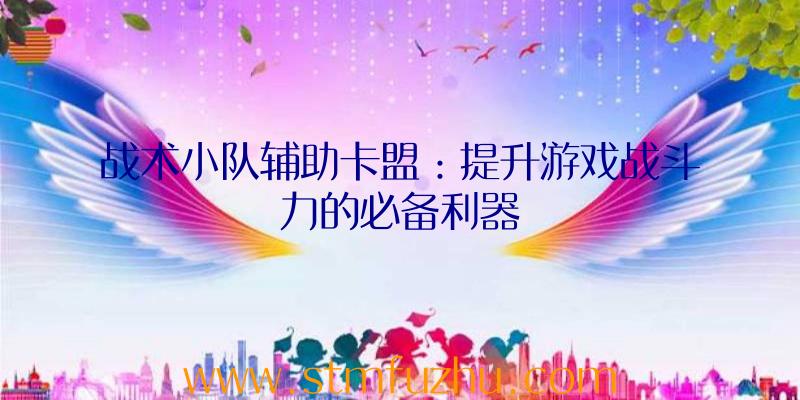 战术小队辅助卡盟：提升游戏战斗力的必备利器