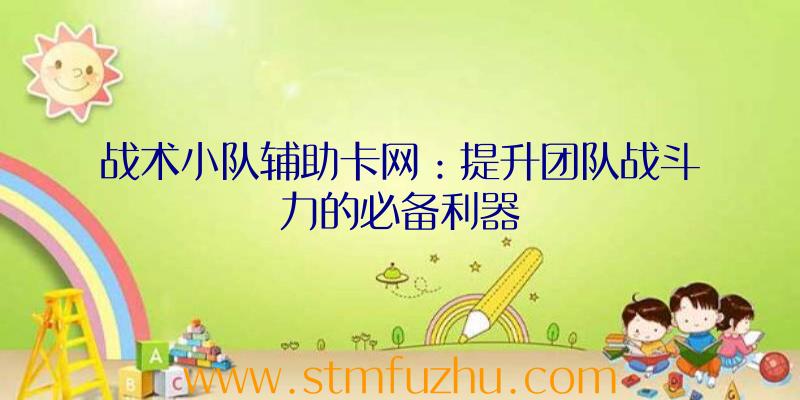 战术小队辅助卡网：提升团队战斗力的必备利器