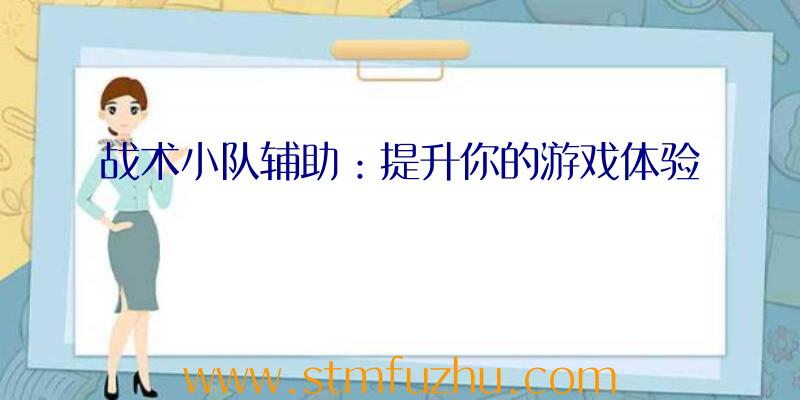 战术小队辅助：提升你的游戏体验