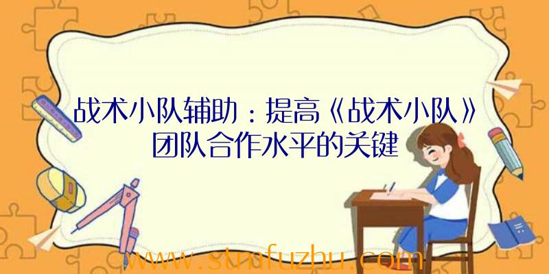 战术小队辅助：提高《战术小队》团队合作水平的关键