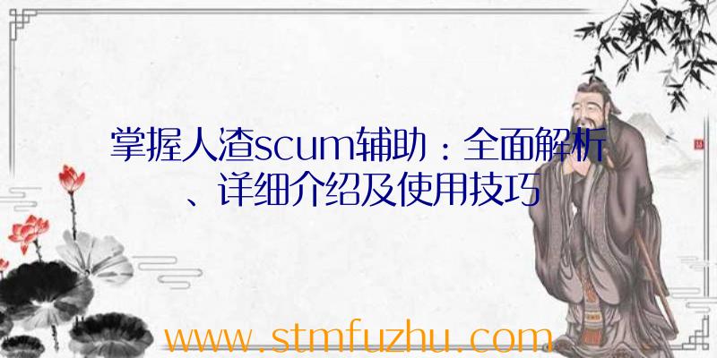 掌握人渣scum辅助：全面解析、详细介绍及使用技巧