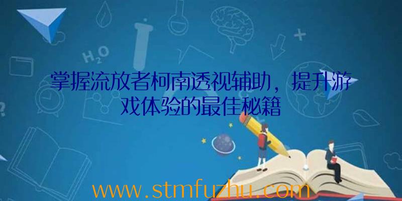 掌握流放者柯南透视辅助，提升游戏体验的最佳秘籍