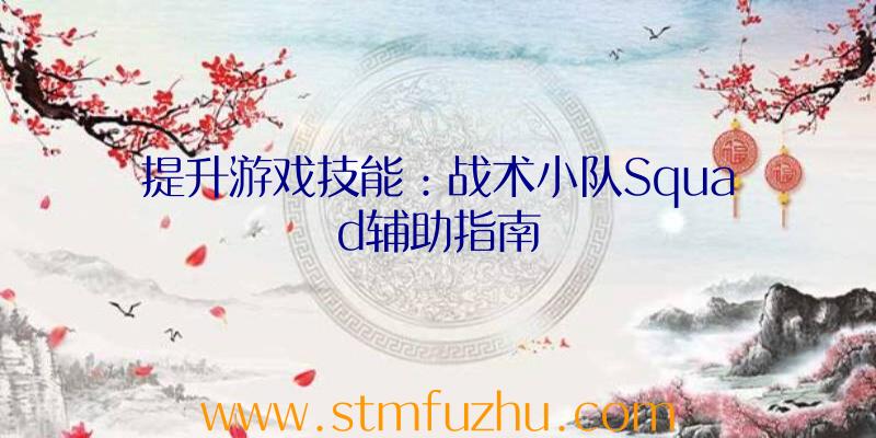 提升游戏技能：战术小队Squad辅助指南