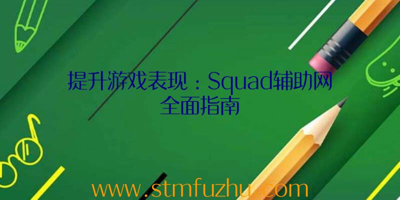 提升游戏表现：Squad辅助网全面指南