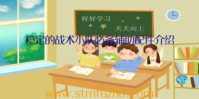 稳定的战术小队必备辅助配件介绍