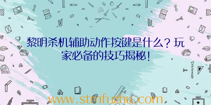 黎明杀机辅助动作按键是什么？玩家必备的技巧揭秘！