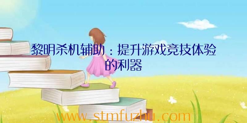 黎明杀机辅助：提升游戏竞技体验的利器